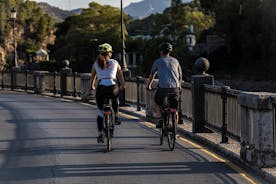 Tour in bici elettrica di picco più alto di Malaga: White Village Olias ed El Palo
