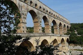 Saint Remy, Les Baux og Pont du Gard Lille Gruppedagstur