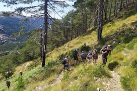 Full Day Hiking at Qorre Peak Llogara National Park
