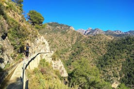 Frigiliana Small-Group Hike and Wine Tasting Tour from Malaga