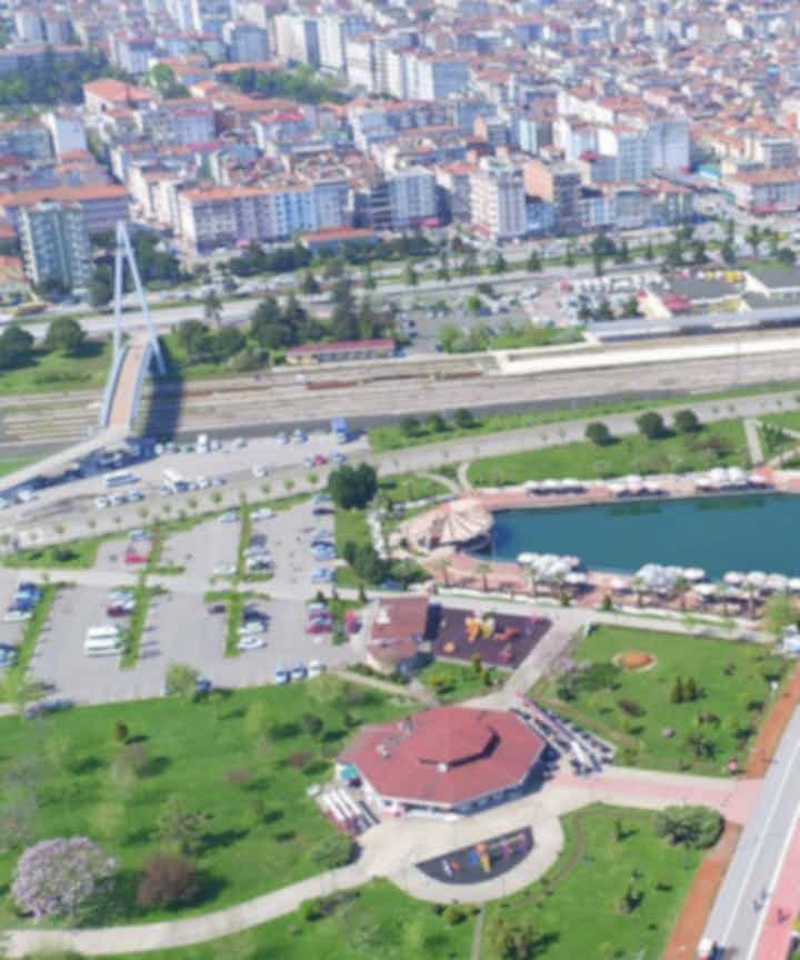 Flights from Andselv, Norway to Samsun, Turkey