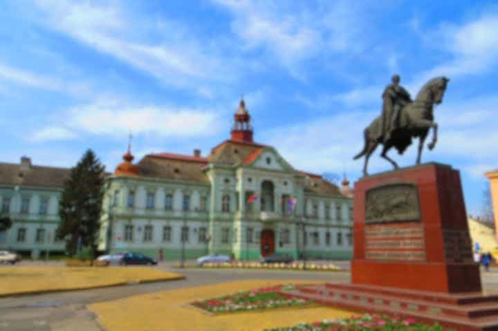 Hôtels et hébergements à Zrenjanin, Serbie