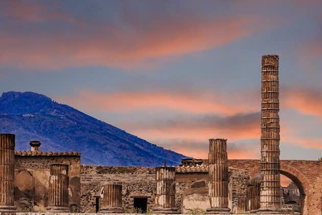Tour privato di un'intera giornata a Pompei e al Vesuvio da Sorrento