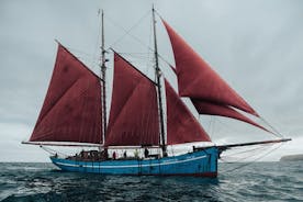 Voyage en voilier à bord d'un voilier emblématique des îles Féroé
