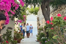 Mediterranean Diet Experience in Naxos 