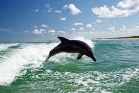 Side Dolphin Island Båttur med Lunch Och Hotell Transfer