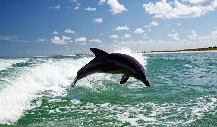 Gita in barca a Side Dolphin Island con pranzo e trasferimento in hotel