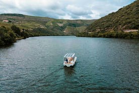 Douro-Solarboot-Erlebnis mit Weinprobe