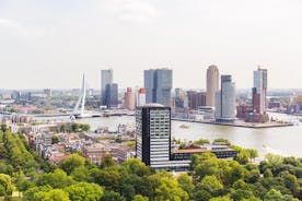 Heldagstur från Amsterdam: Rotterdam, Delft, Haag och miniatyrparken Madurodam