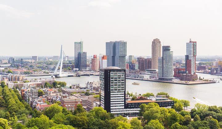 Guided Day Trip - Rotterdam, Delft and The Hague from Amsterdam