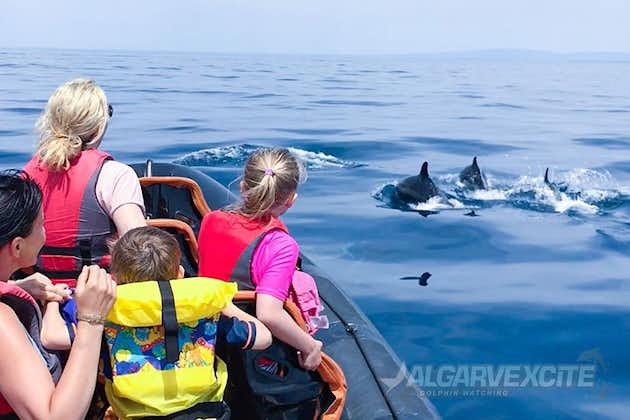 Excursion en bateau la moins chère en famille au départ de Vilamoura en Algarve