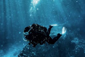 阿拉尼亚水肺潜水体验，含午餐和 2 次潜水