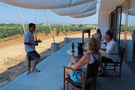 Visite de vignobles à Minorque avec dégustation de vin