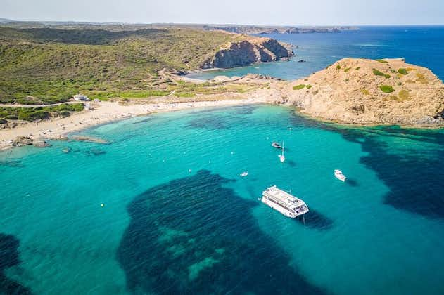 Halvdagstur i Catamaran North Coast