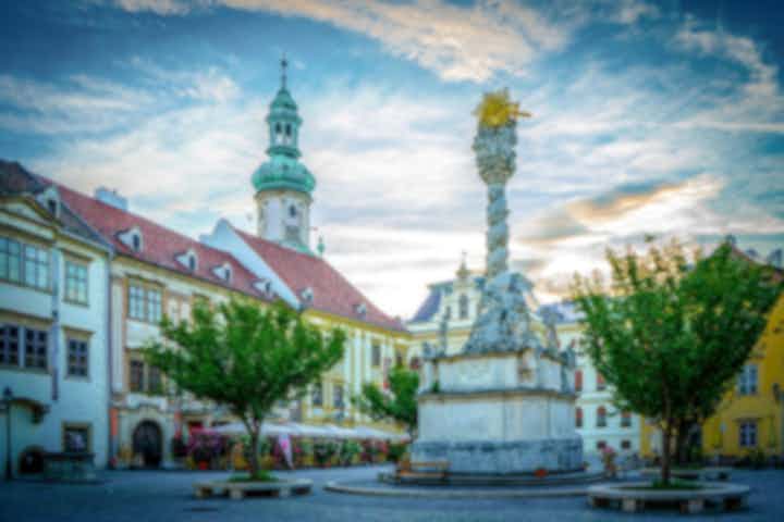Hotell och ställen att bo på i Sopron, Ungern