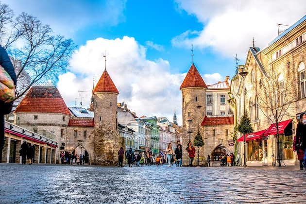 Historiske Tallinn: Eksklusiv privat tur med en lokal ekspert
