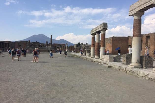 Landudflugt fra Napoli: Heldagstur til Vesuv og Pompeji fra Napoli