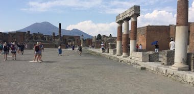 Kustexcursie Napels: All-inclusive dagtrip naar de Vesuvius en Pompeï vanuit Napels