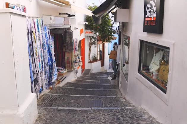 Giro turistico di un'intera giornata dell'isola di Santorini da Rethymno