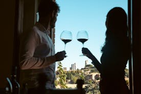 Visite privée du domaine viticole de San Gimignano avec dégustation de vins et d'huiles d'olive
