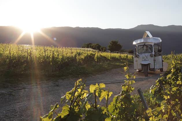 Panoramische en proeverij van wijngaarden door Genève in een elektrische Tuk Tuk