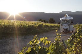 Genève panorama- och provsmakning av vingårdstur i en TukTuk (elektrisk)