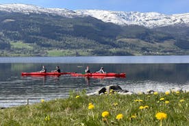 Sea Kayaking Rental