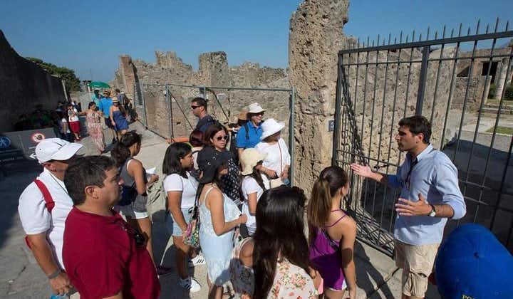 Visite en Pompéi et Herculanum avec un archéologue dans un petit group