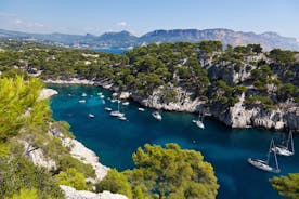 Lille gruppe Marseille kystudflugt: Marseille og Cassis Tour