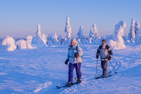 Private Snowshoe or Ski Adventure in Lapland