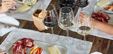 Vintur og smagning af Lugana-vine i Desenzano