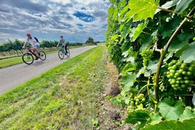 Moravian E-Bike & Wine Day Trip From Brno