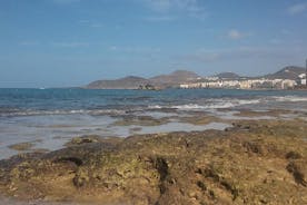 Las Canteras Beach Snorkeling and species identification Tour