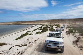 Excursión de medio día por Fuerteventura en jeep 4x4