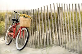 Lido Bike tour: med en lokal på ön Cinema