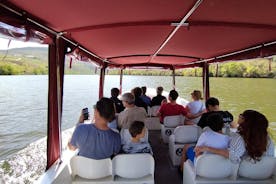 Gita in barca di 1 ora lungo il fiume Douro a Pinhão