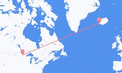 航班从美国伯米吉 (明尼苏达州)市到雷克雅维克市，冰岛塞尔