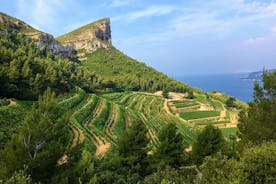 Dagvullende wijntour rond Bandol & Cassis vanuit Marseille