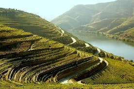 Douro Valley and Lisbon 5 Day PRIVATE Tour - Port Wine Region, Porto and Lisbon