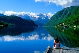 Privétour: een dagtour van een hele dag naar Hardangerfjord vanuit Bergen