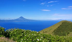 Ponta Delgada travel guide