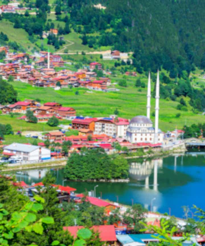 Fly fra Trabzon, Tyrkiet til Europa
