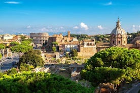 Rom an einem Tag: Kaiserlicher und Vatikanischer Weg - vom Civitavecchia Pier - private Tour