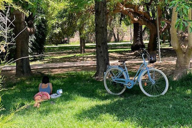 Drei Parks von Valencia Private Bike Tour