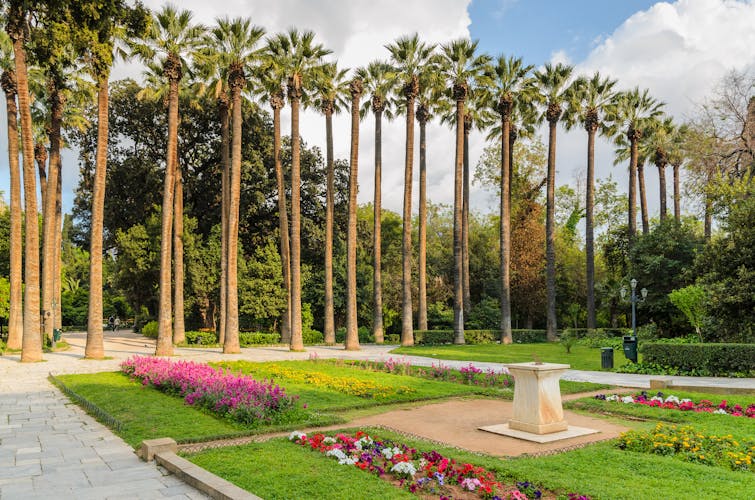 Photo of palm trees in the Athens National Garden in the city centre.