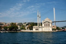 Bosporen och Svarta havet Halvdagskryssning från Istanbul Inkluderad guide och lunch