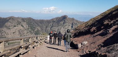 Vesuvius: halve dagtrip vanuit Napels