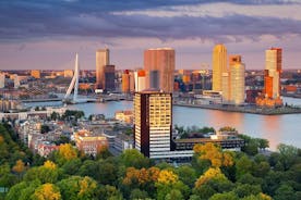 Private Tour to The Hague and Rotterdam from Amsterdam
