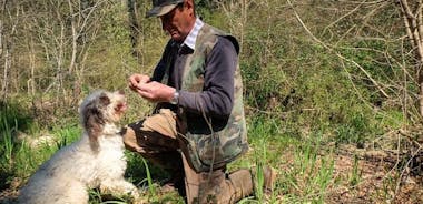Truffle Hunting with Wine Tasting in Chianti