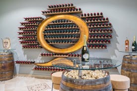 Visita a la bodega y degustación de 7 vinos en Yalovo